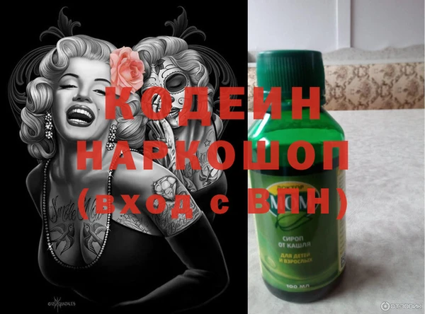индика Алексеевка