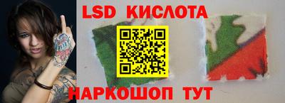 прущие крисы Кингисепп