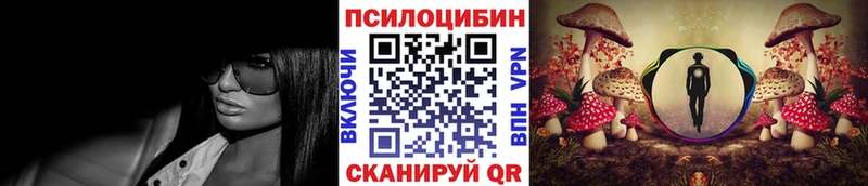 где купить наркоту  Кольчугино  Псилоцибиновые грибы GOLDEN TEACHER 