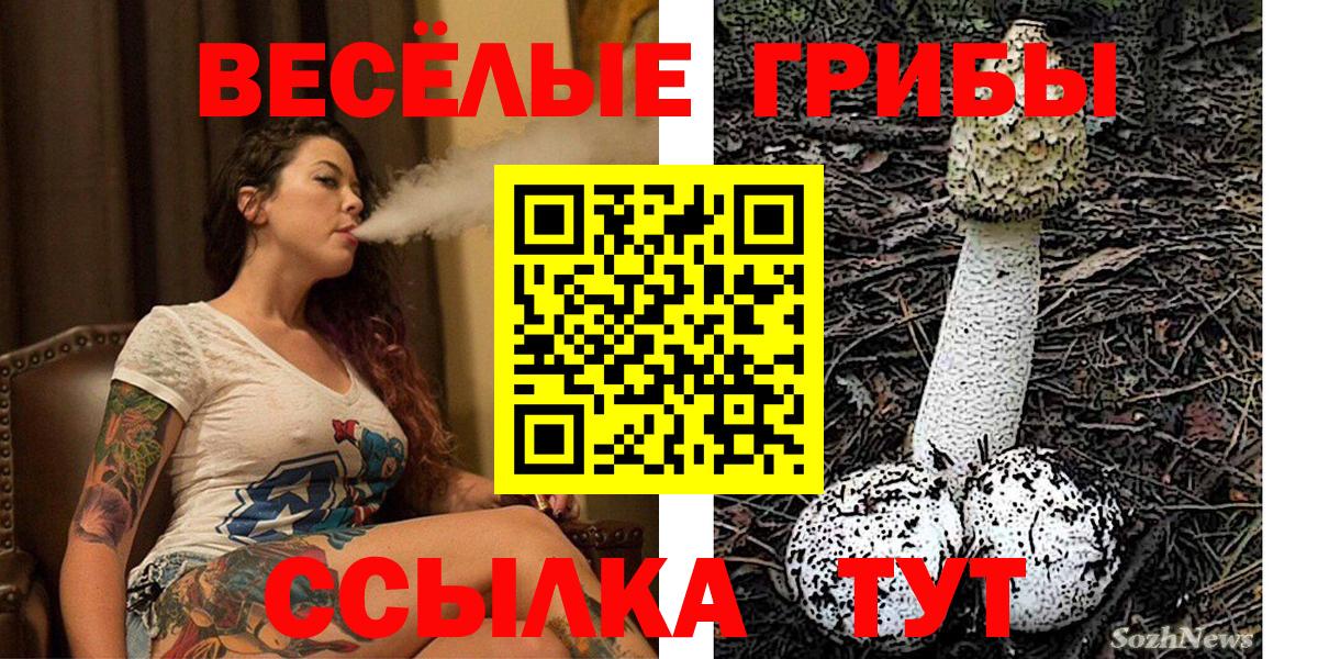 Кольчугино  Галлюциногенные грибы мицелий  Вход с VPN 